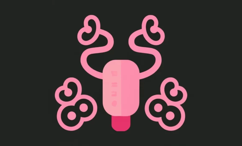 Calendarul Ovulației: Ghid Esențial pentru Monitorizarea Ciclului Menstrual